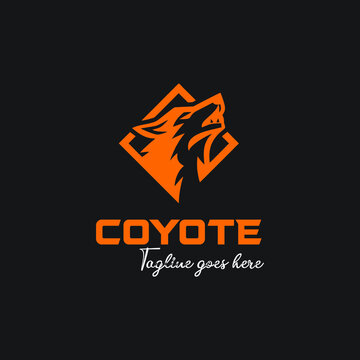 coyote head in box logo exclusive design inspiration