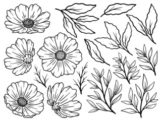 Hand drawn flower sketch line art illustration set.