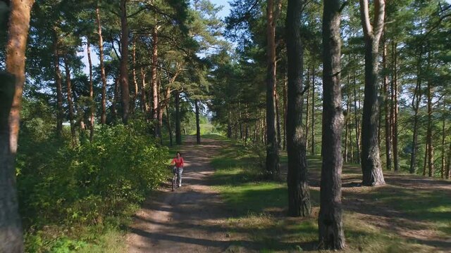Adult woman riding a bike in a pine forest in nature outdoors