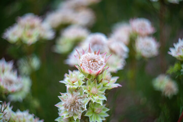 シンガポールの観光名所を旅行する風景 Scenes from a trip to Singapore's tourist attractions 