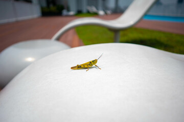 Obraz premium シンガポールの観光名所を旅行する風景 Scenes from a trip to Singapore's tourist attractions 