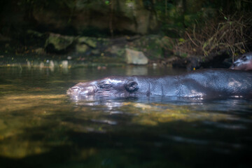 シンガポールの観光名所を旅行する風景 Scenes from a trip to Singapore's tourist attractions 