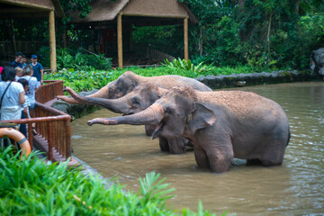 Fototapeta premium シンガポールの観光名所を旅行する風景 Scenes from a trip to Singapore's tourist attractions 