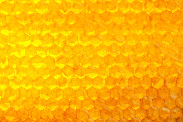 Texture of honey combs, closeup