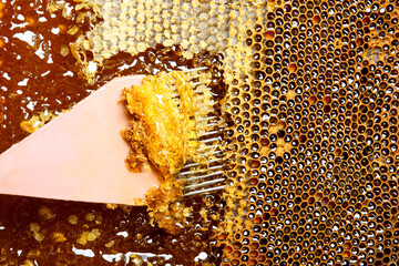 Uncapping honey from frame at apiary, closeup