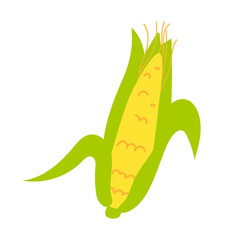 Cartoon corn isolated. Vector stock illustration of an ear of corn with stem leaves. Cereal plant on a white background.