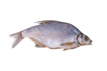 Dried river bream fish isolated on white background.