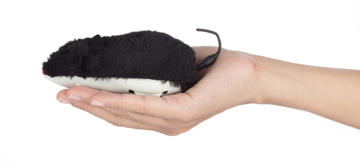Obraz premium Hand holding Cat Toy plush mouse Wind-up Mechanical isolated on white background