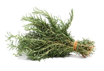 Branch of rosemary on white background. 