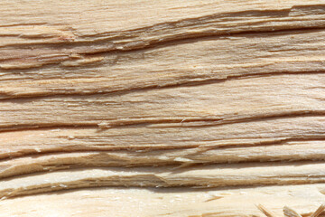 background from an pine tree covered with veins close-up. chopped wood texture