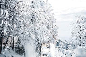 Suburb Village covered with snow, tree with snowslide, winter