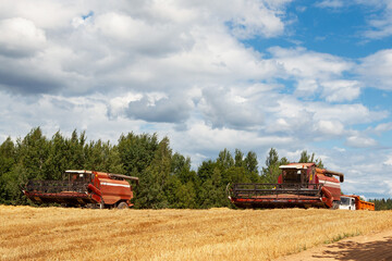 Combine harvesters in the field for harvesting wheat.