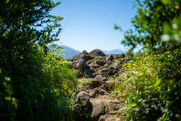 富山県富山市の猿倉山、御前山、小佐波御前山を登山する風景 Scenery of climbing Sarukura Mountain, Gozen Mountain, and Ozanami Gozen Mountain in Toyama City, Toyama Prefecture. 
