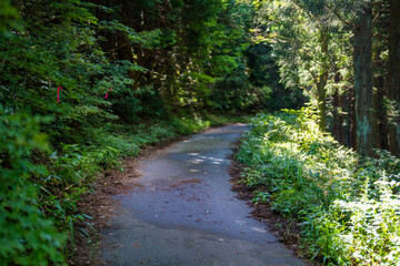 富山県富山市の猿倉山、御前山、小佐波御前山を登山する風景 Scenery of climbing Sarukura Mountain, Gozen Mountain, and Ozanami Gozen Mountain in Toyama City, Toyama Prefecture. 