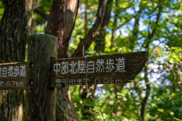 富山県富山市の猿倉山、御前山、小佐波御前山を登山する風景 Scenery of climbing Sarukura Mountain, Gozen Mountain, and Ozanami Gozen Mountain in Toyama City, Toyama Prefecture. 