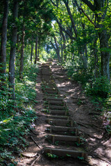 Obraz premium 富山県富山市の猿倉山、御前山、小佐波御前山を登山する風景 Scenery of climbing Sarukura Mountain, Gozen Mountain, and Ozanami Gozen Mountain in Toyama City, Toyama Prefecture. 