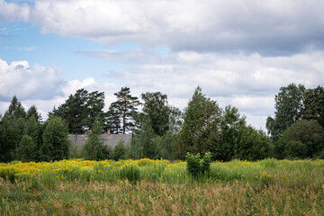 Fototapeta na wymiar small country village house covered with trees, meadow with yellow flowers in foreground, blue sky with big fluffy clouds in background 