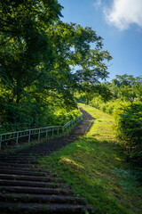Obraz premium 富山県富山市の猿倉山、御前山、小佐波御前山を登山する風景 Scenery of climbing Sarukura Mountain, Gozen Mountain, and Ozanami Gozen Mountain in Toyama City, Toyama Prefecture. 