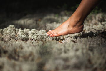 Female foot at forest reindeer moss. Harmony with nature concept