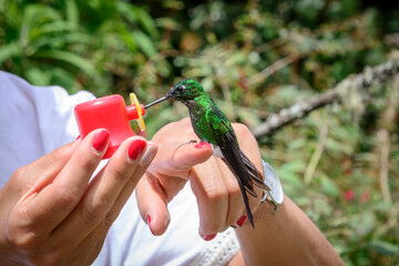 COLIBRì