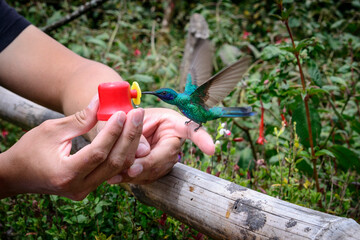 COLIBRì