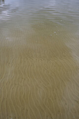 Clean water of Lake Svitiaz, Volyn, Ukraine. Shatsky National Natural Park. The texture of the bottom. Vertical image. Copy space. 