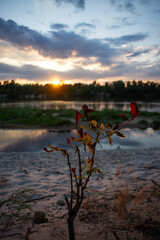Naklejka premium Beautiful view of Ukrainian Desna river, calm waters, dramatic skies