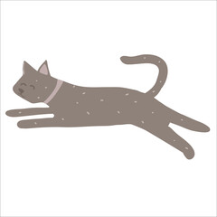 Cute happy relaxed cat purring