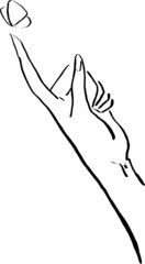 butterfly on hand illustration