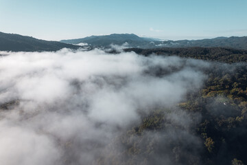 morning fog in the mountains rainy season