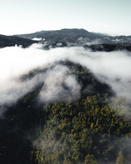 morning fog in the mountains rainy season