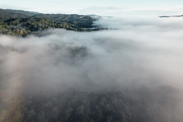 morning fog in the mountains rainy season