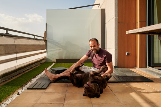 smiling middle-aged man playing with his dog while setting up a new floor on his terrace