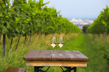 A beautiful place (Nussberg) to enjoy wine with a view to Vienna, Austria