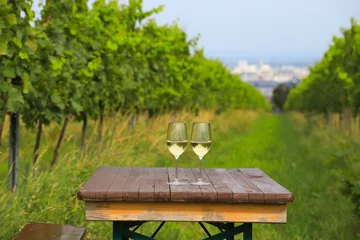 Poster A beautiful place (Nussberg) to enjoy wine with a view to Vienna, Austria © Ina Meer Sommer