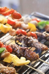 shish kebab on the grill