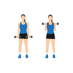 Fototapeta na wymiar Woman doing dumbbell bicep curls. Flat vector illustration isolated on different layers. Workout character
