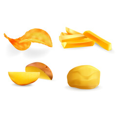 Realistic Detailed 3d Different Views Potatoes Vegetable Set Include of Potato Chips and French Fries Fast Food. Vector illustration