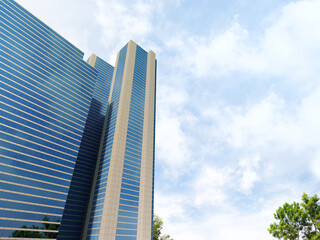 Steel structure building near tree in public garden. 3D rendering of modern architecture facade with blue sky background.