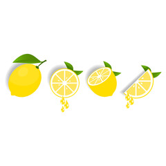 Lemon icon on white background, vector illustration