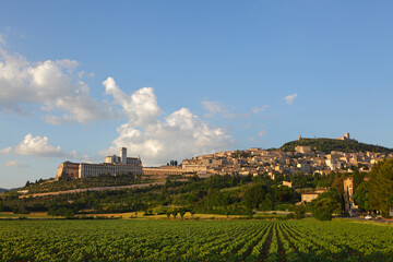 Fototapeta na wymiar Basilica of San Francesco d'Assisi, Assisi, Italy