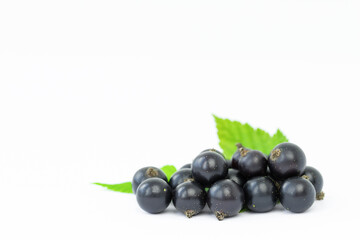 Backgroun of black currant on gray surface