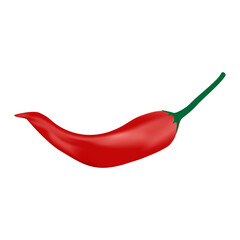 Red chili icon on white background, vector illustration