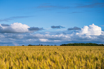 Fototapeta premium Normandie