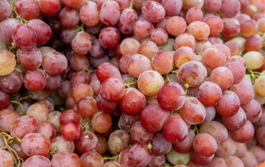 Red grapes for sale at city farmers market