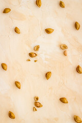 Dried apricot kernel with ripe apricot fruits, top view