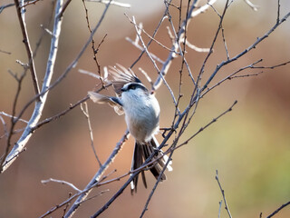 Fototapeta premium 晩秋の四季