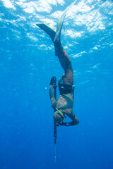 spearfishing in ocean
