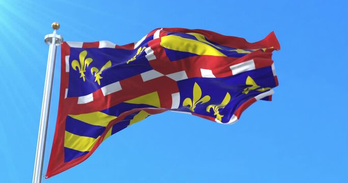 Flag of Burgundy. Loop