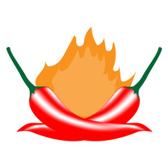 Red chili with fire icon on white background,vector illustration